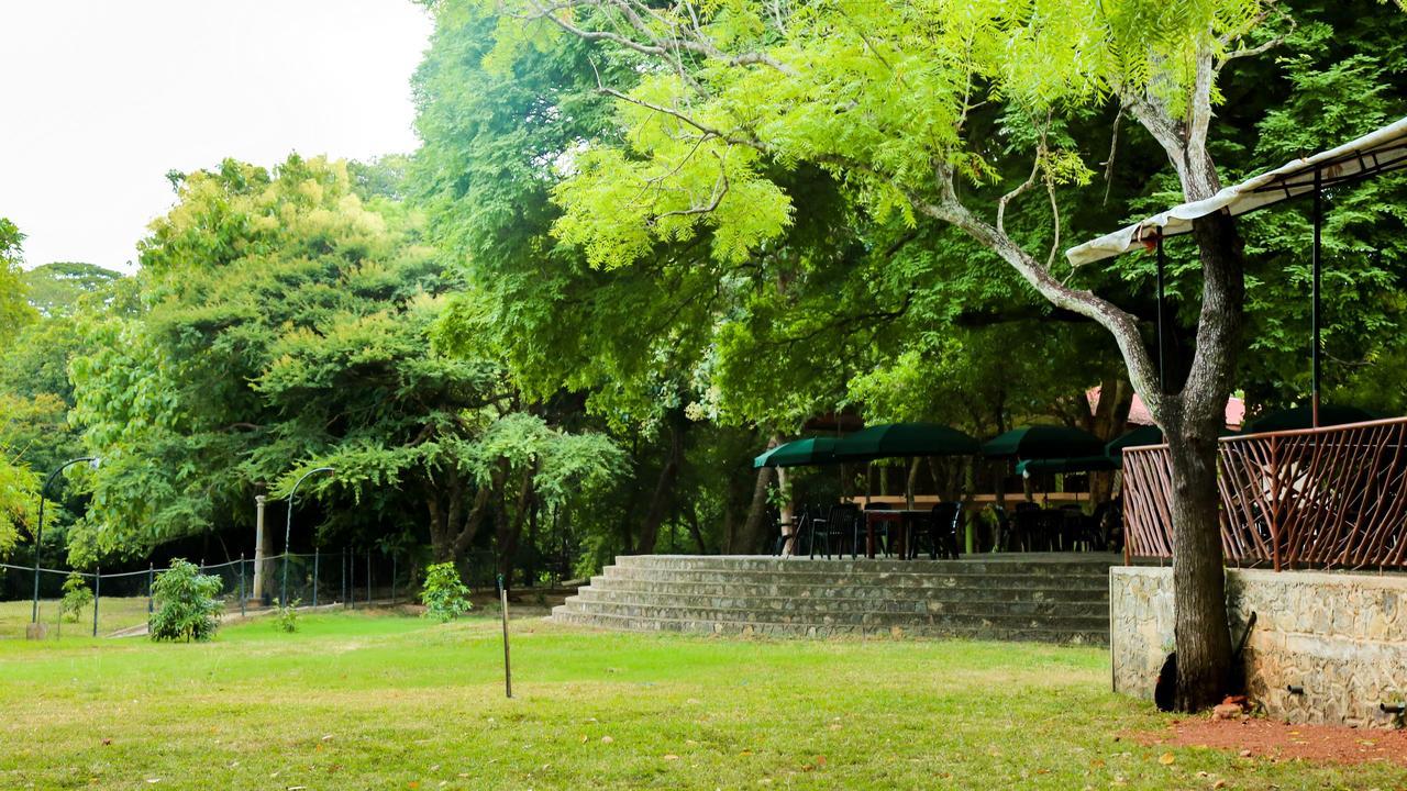 Malwathu Oya Caravan Park Panzió Anuradhapura Kültér fotó