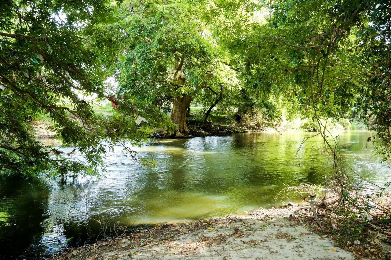Malwathu Oya Caravan Park Panzió Anuradhapura Kültér fotó