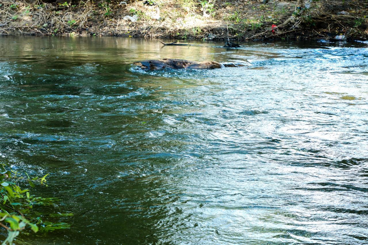 Malwathu Oya Caravan Park Panzió Anuradhapura Kültér fotó