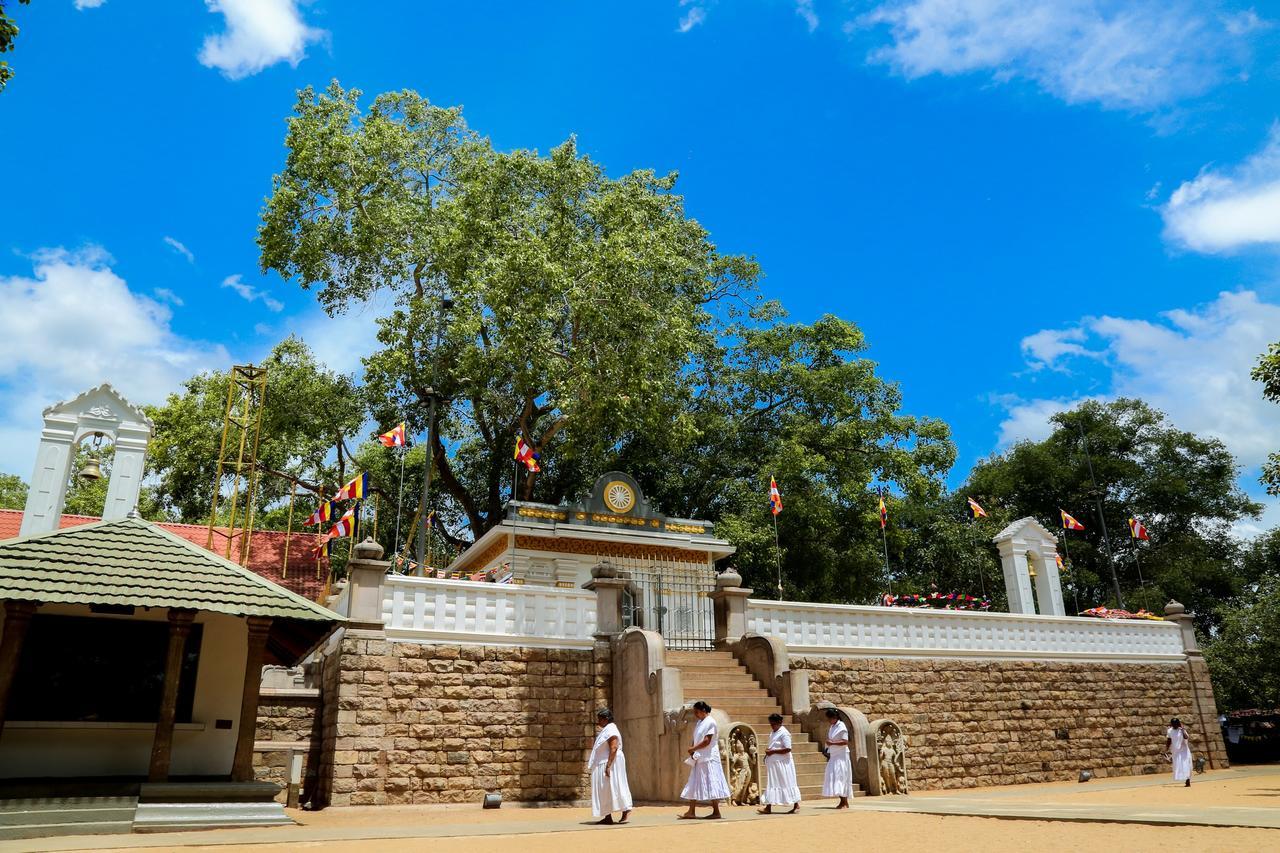Malwathu Oya Caravan Park Panzió Anuradhapura Kültér fotó