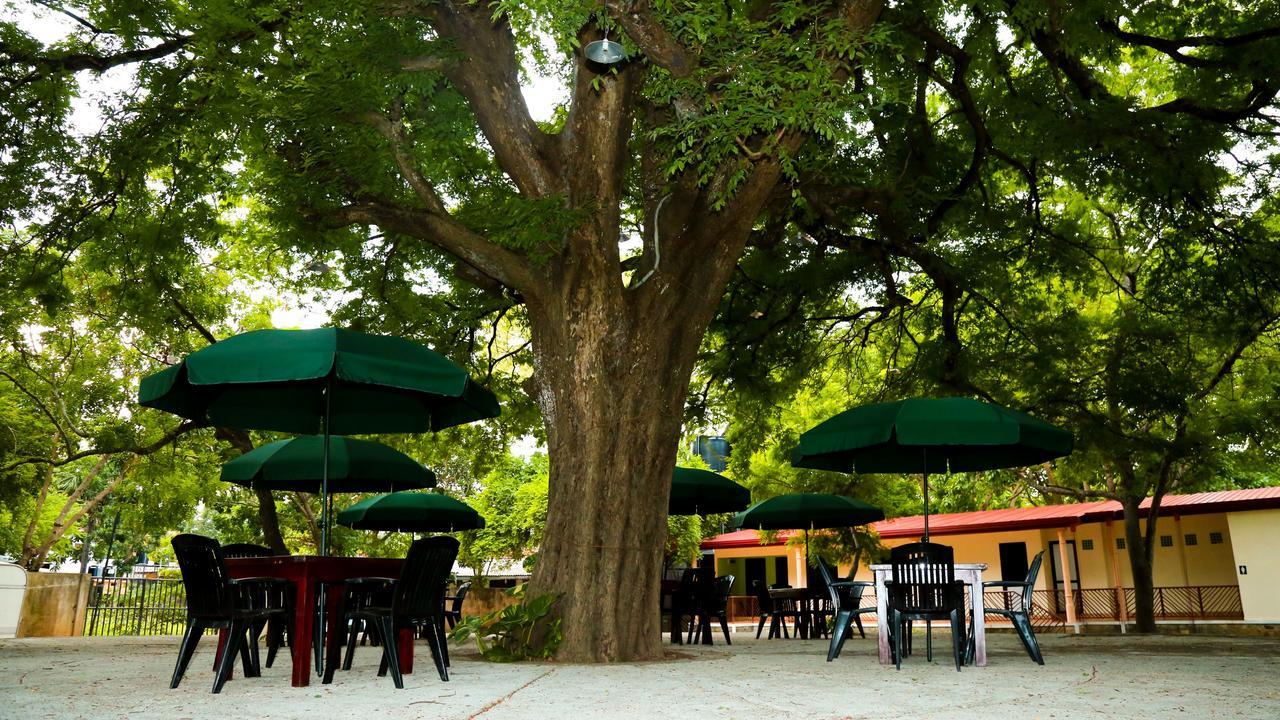 Malwathu Oya Caravan Park Panzió Anuradhapura Kültér fotó